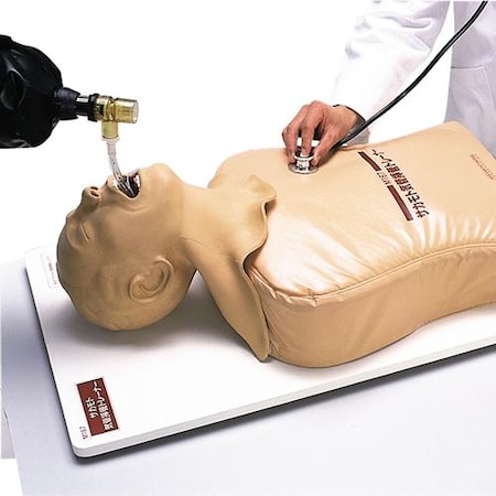 Endotracheal Intubation Sim.
